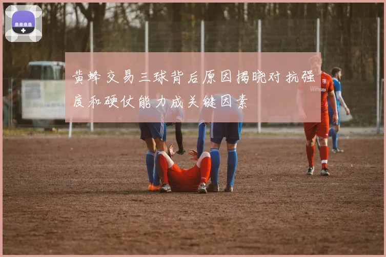黄蜂交易三球背后原因揭晓对抗强度和硬仗能力成关键因素
